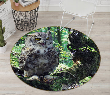 3D Owl 081 Animal Round Non Slip Rug Mat Mat AJ Creativity Home 
