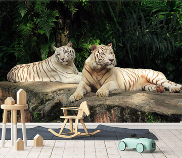 3D Two Tigers 123 Wall Murals