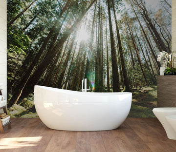 3D Woods Shadow 136 Wall Murals
