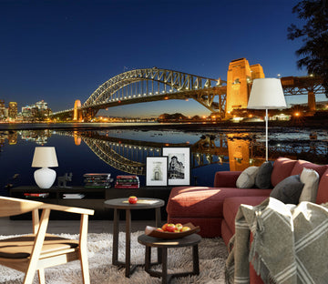 3D Night View Bridge 1468 Wall Murals