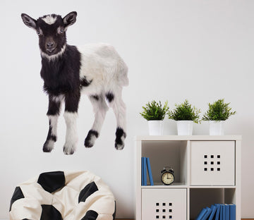 3D Sheep Learning To Walk 102 Animals Wall Stickers Wallpaper AJ Wallpaper 