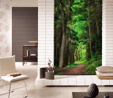 3D Forest Road 107 Wall Murals Wallpaper AJ Wallpaper 