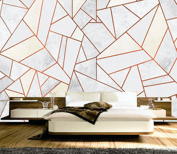 3D Red Triangle Graphic WG006 Wall Murals