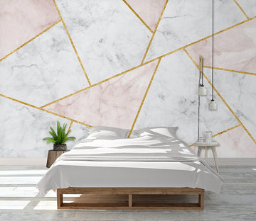 3D Color Geometry WG302 Wall Murals