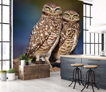 3D Burrowing Owl Buddies 105 Kathy Barefield Wall Mural Wall Murals