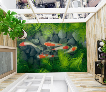 3D Five Cute Koi 159 Floor Mural  Wallpaper Murals Rug & Mat Print Epoxy waterproof bath floor