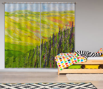3D Misty Valley 154 Allan P. Friedlander Curtain Curtains Drapes