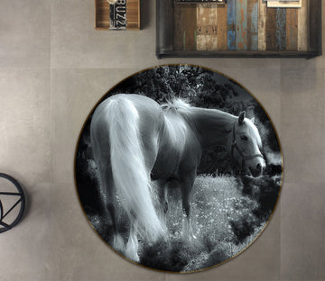 3D Night White Horse 057 Animal Round Non Slip Rug Mat Mat AJ Creativity Home 
