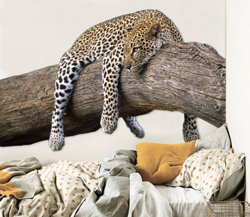 3D Leopard Lying On The Tree 011 Animals Wall Stickers Wallpaper AJ Wallpaper 