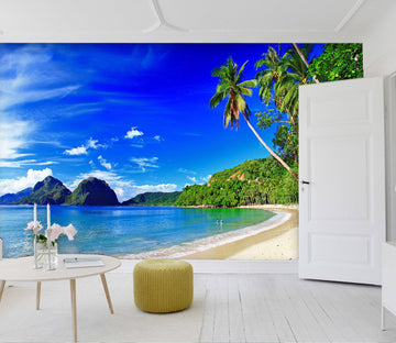 3D Sea Coconut Tree 021 Wall Murals