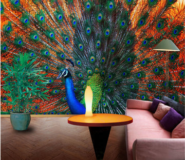 3D Peacock Feather 322 Wall Murals