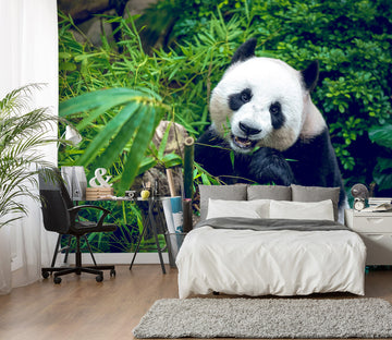 3D Panda Jungle 57113 Wall Murals