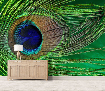 3D Peacock Feather 212 Wall Murals