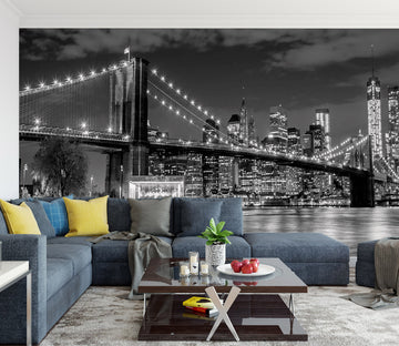 3D New York Bridge 1452 Wall Murals