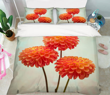 3D Red Flowers 85107 Assaf Frank Bedding Bed Pillowcases Quilt
