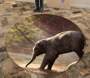 3D Baby Elephant 035 Animal Round Non Slip Rug Mat Mat AJ Creativity Home 