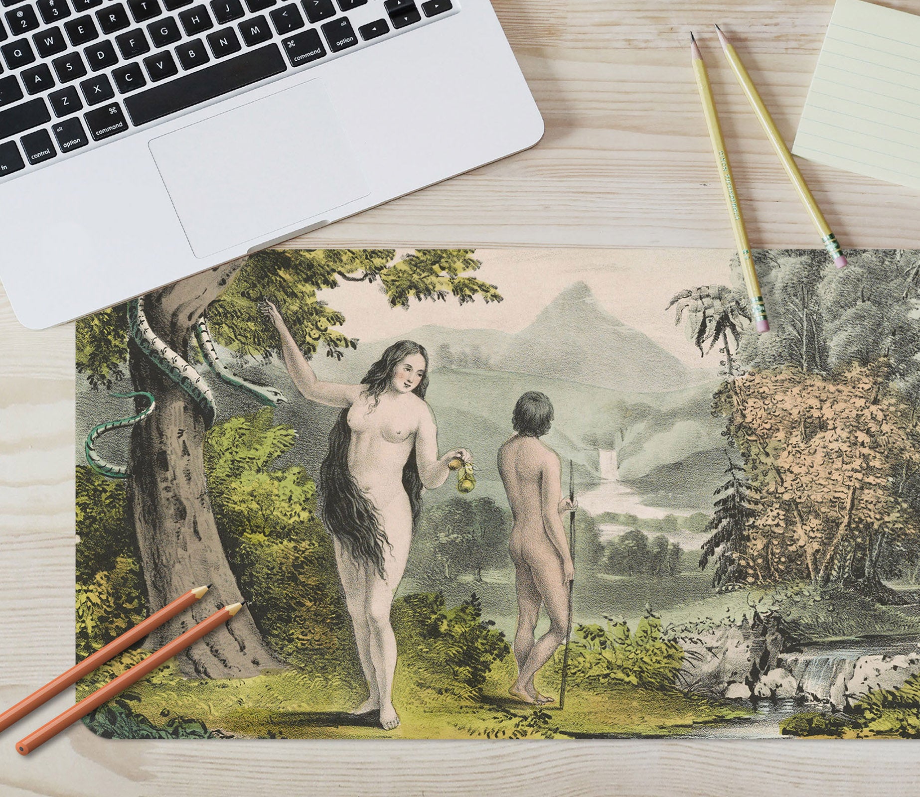 3D Forest Woman 155 Andrea Haase Desk Mat