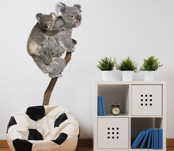 3D Koala 187 Animals Wall Stickers Wallpaper AJ Wallpaper 