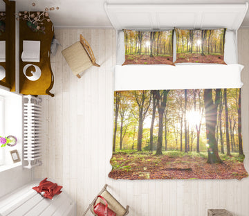 3D Sunshine Forest 6974 Assaf Frank Bedding Bed Pillowcases Quilt Cover Duvet Cover