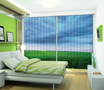3D Grass Sky 1735 Marina Zotova Curtain Curtains Drapes