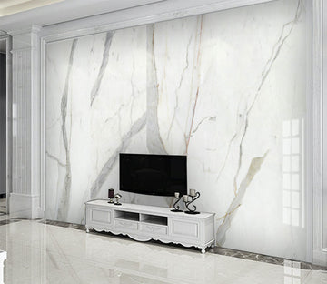 3D Marble Pattern WG094 Wall Murals