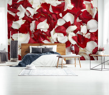 3D Rose Petal 1718 Wall Murals