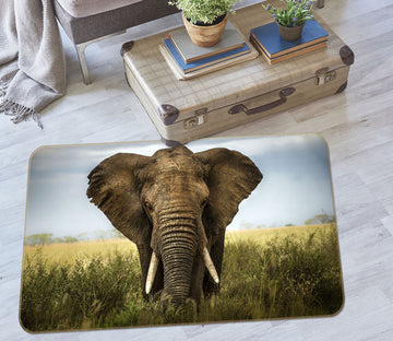 3D Elephant Steppe 077 Animal Non Slip Rug Mat