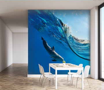 3D Dolphin Waves 120 Wall Murals
