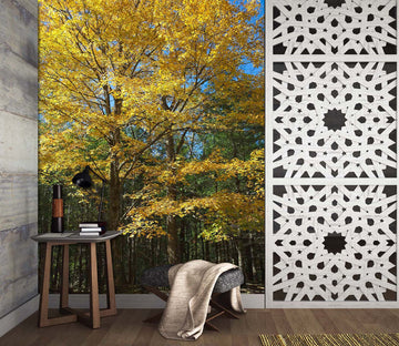 3D Sunny Forest 1401 Kathy Barefield Wall Mural Wall Murals