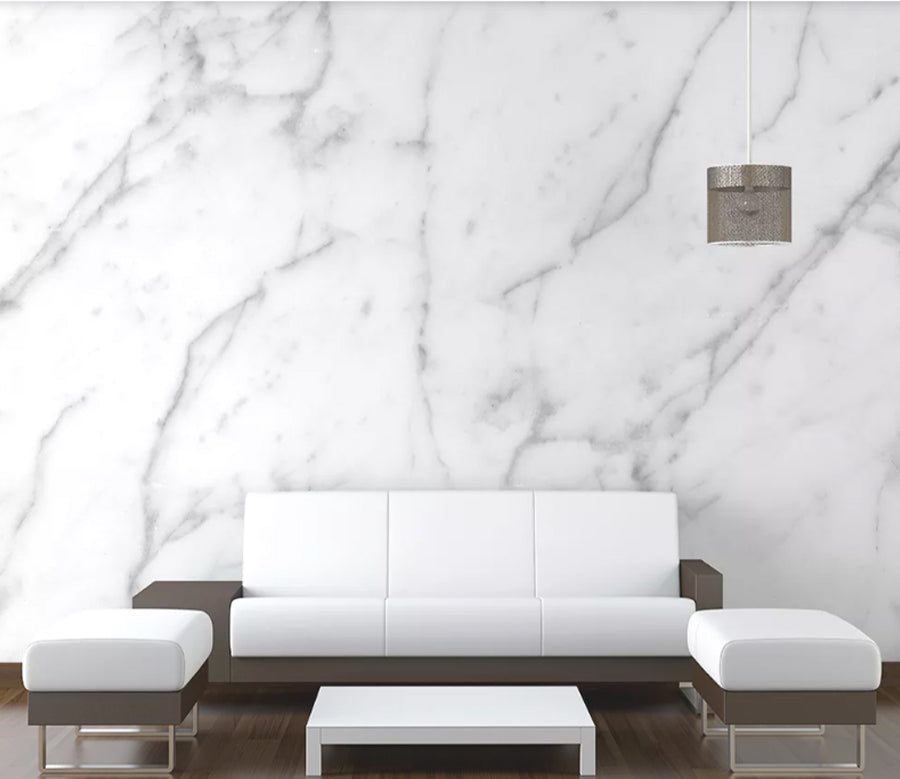 3D Black Graffiti WC2011 Wall Murals