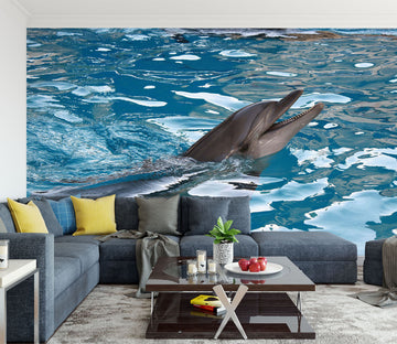 3D Dolphin 1489 Wall Murals