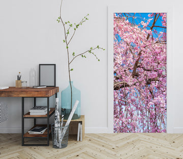 3D Pink Cherry Blossom Branch 11454 Marco Carmassi Door Mural