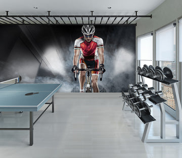 3D Cycling 269 Wall Murals