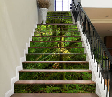 3D Jungle 9915 Kathy Barefield Stair Risers