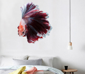 3D Beautiful Goldfish Tail 041 Animals Wall Stickers Wallpaper AJ Wallpaper 