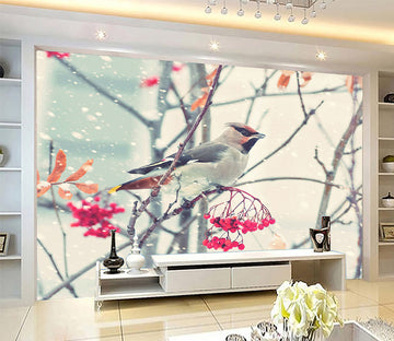 3D Magpie Flowers 1049 Wall Murals