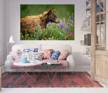 3D Bear Cub 003 Kathy Barefield Wall Sticker Wallpaper AJ Wallpaper 2 
