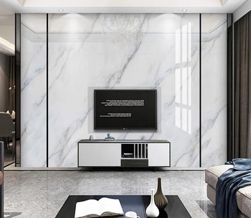 3D White Marble Texture 854 Wall Murals