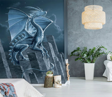 3D Silver Dragon 1550 Wall Murals Exclusive Designer Vincent Wallpaper AJ Wallpaper 