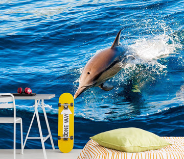 3D Happy Dolphin 2030 Wall Murals