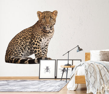 3D Sitting Leopard 163 Animals Wall Stickers Wallpaper AJ Wallpaper 