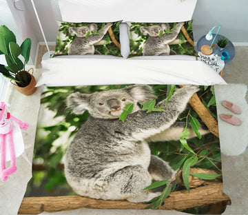 3D Koala Eucalyptus 078 Bed Pillowcases Quilt
