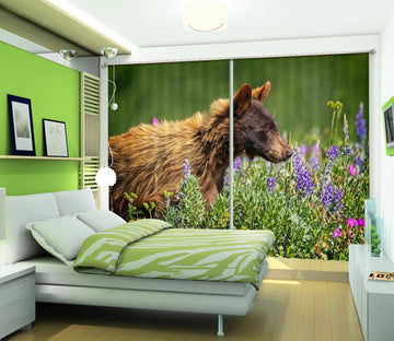 3D Bear Cub 043 Kathy Barefield Curtain Curtains Drapes Wallpaper AJ Wallpaper 