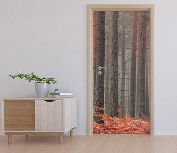 3D Trees Woods 106176 Assaf Frank Door Mural