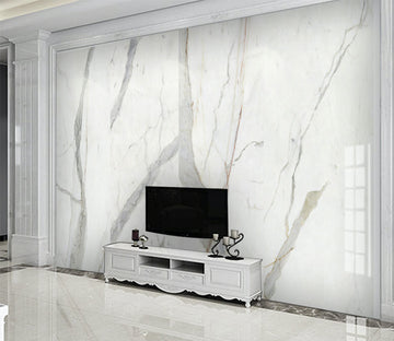 3D White Wall WG094 Wall Murals