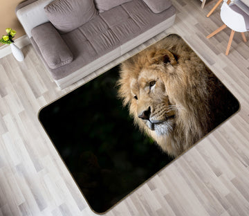 3D Plush Lion 103 Animal Non Slip Rug Mat