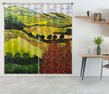 3D Colored Field 125 Allan P. Friedlander Curtain Curtains Drapes