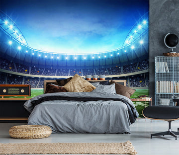 3D Court 1660 Wall Murals
