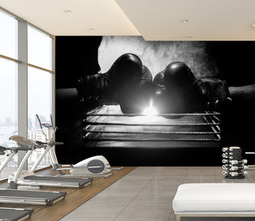 3D Boxing Gloves 112 Wall Murals Wallpaper AJ Wallpaper 2 