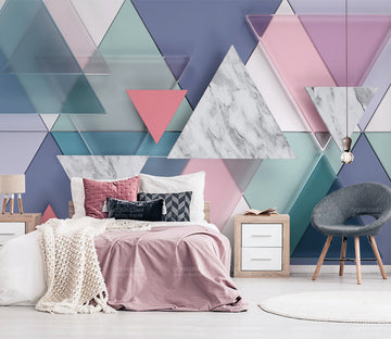 3D Colored Triangle WG021 Wall Murals